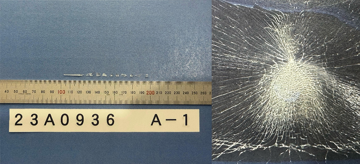 ショットバッグ試験結果